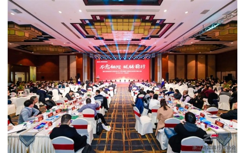 喜报-祝贺cq9电子平台网站荣任