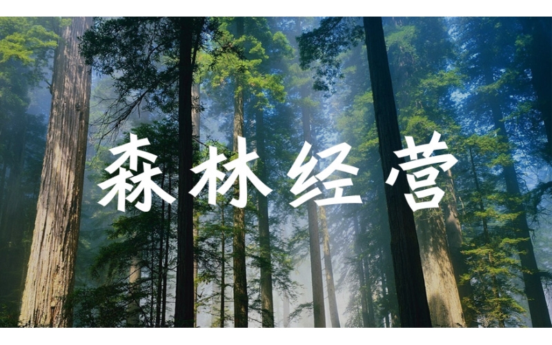 森林经营方案摘要（2022-2031年）